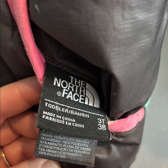 The North Face Colorblock Jacket - Picture 2 of 2